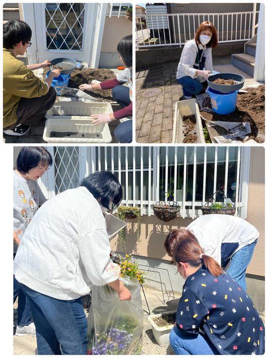 花の植え替え