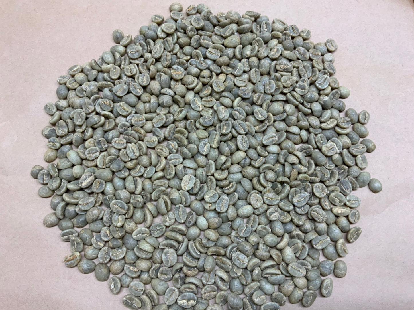 生豆 (ケニア・マサイ)50g~
