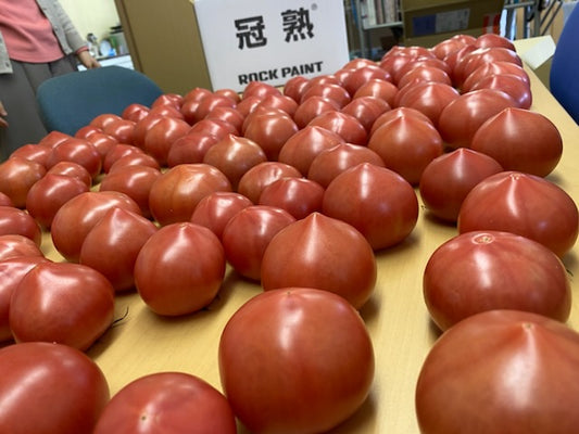 トマトをいただきました🍅