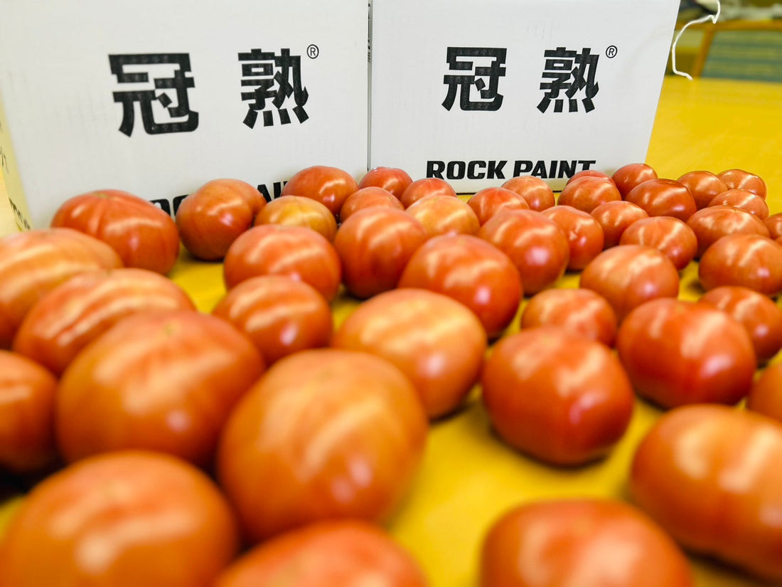 トマト🍅