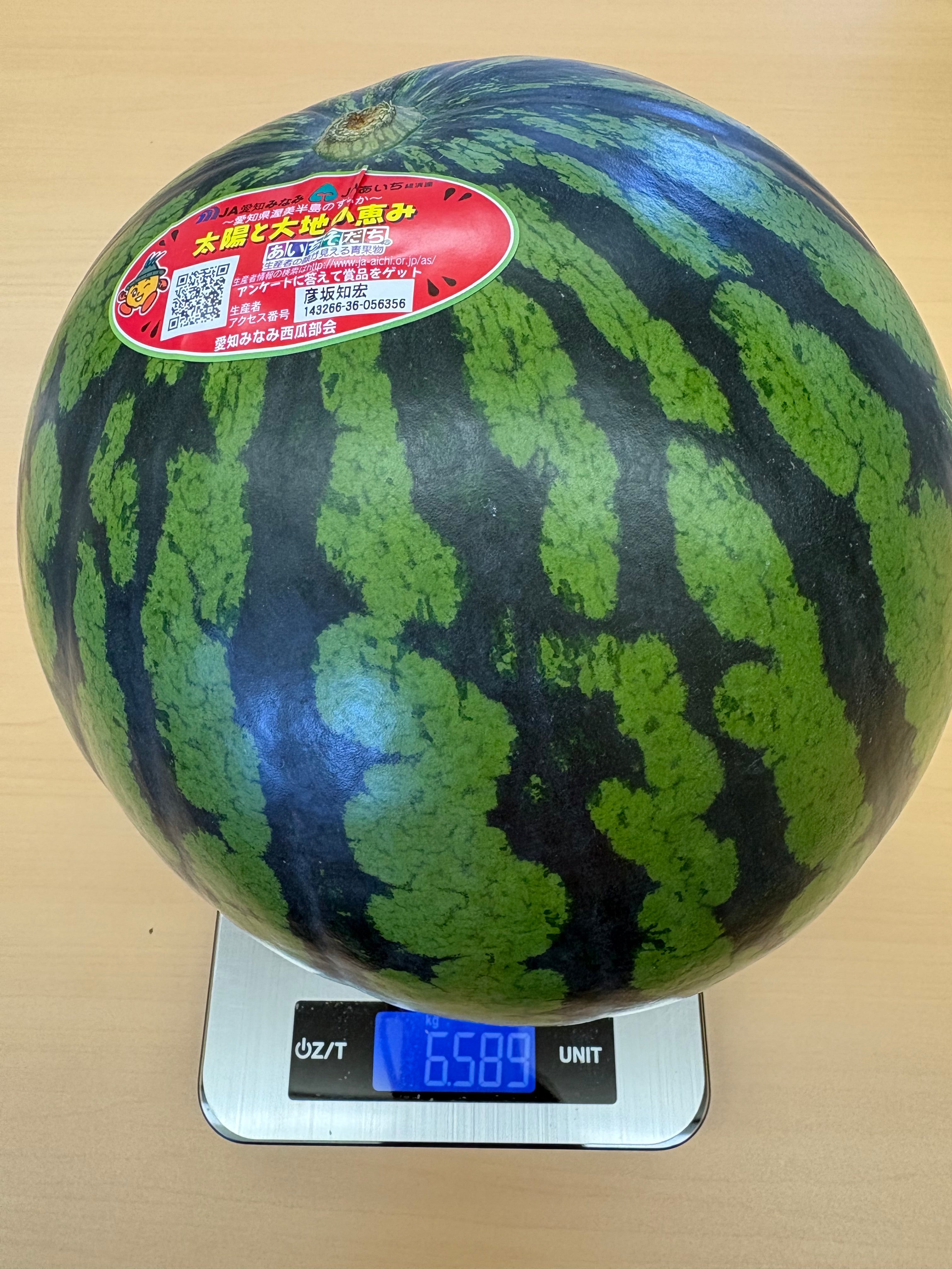 嬉しい差し入れ