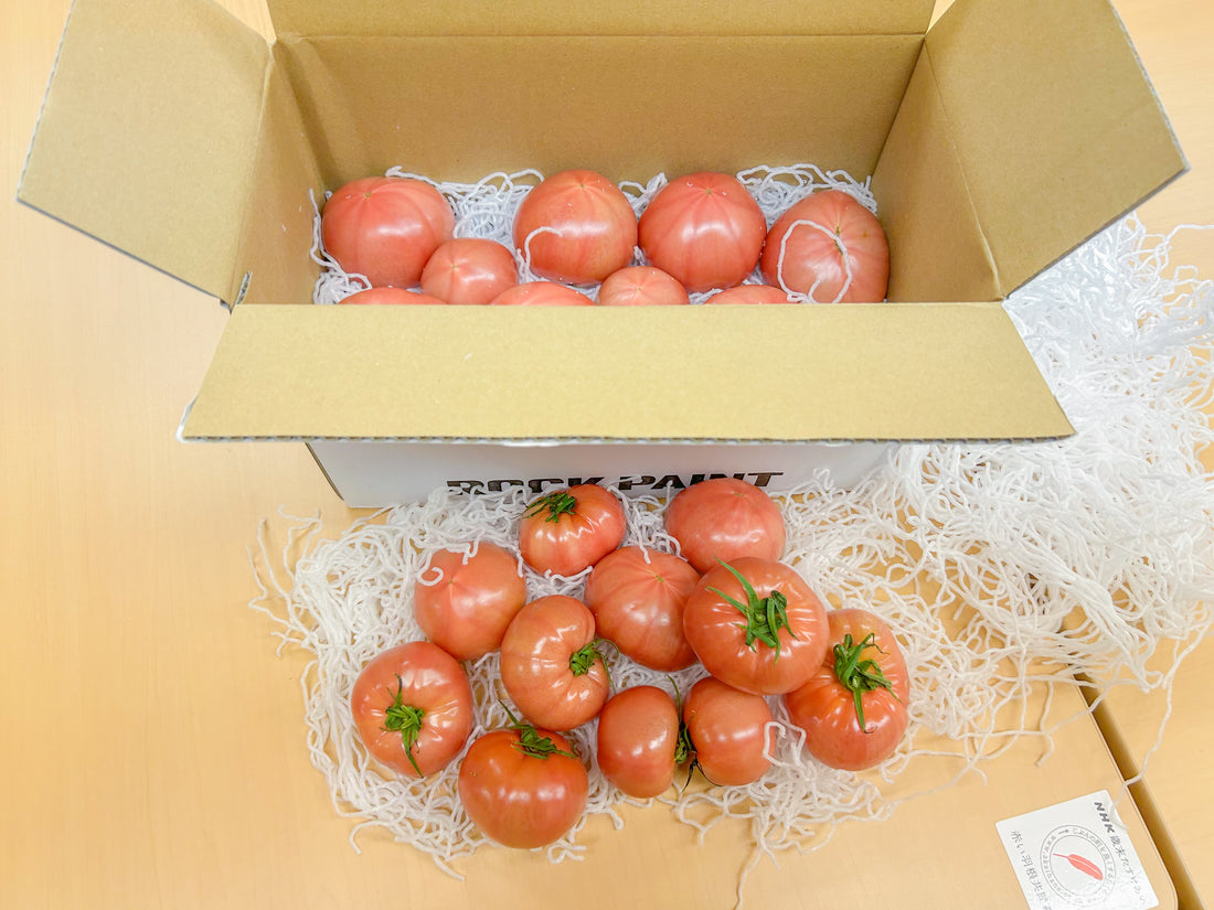 トマトの寄付&募金百貨店寄付