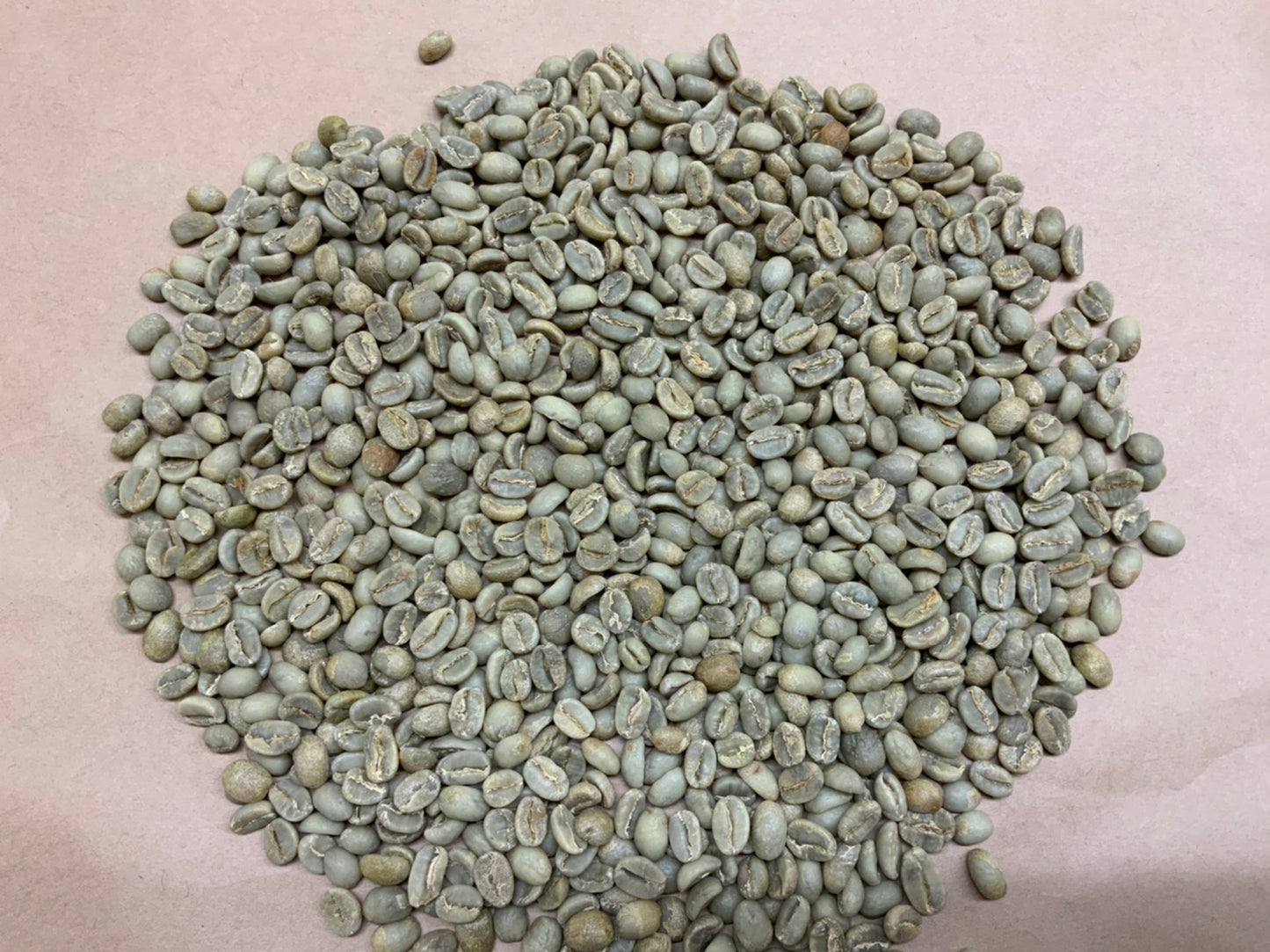 生豆  （エチオピア・ベレカ）50g～
